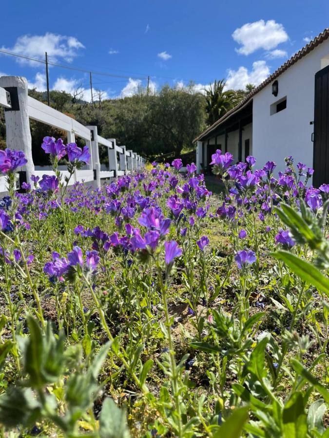 Villa Montana Colorada El Paso Buitenkant foto